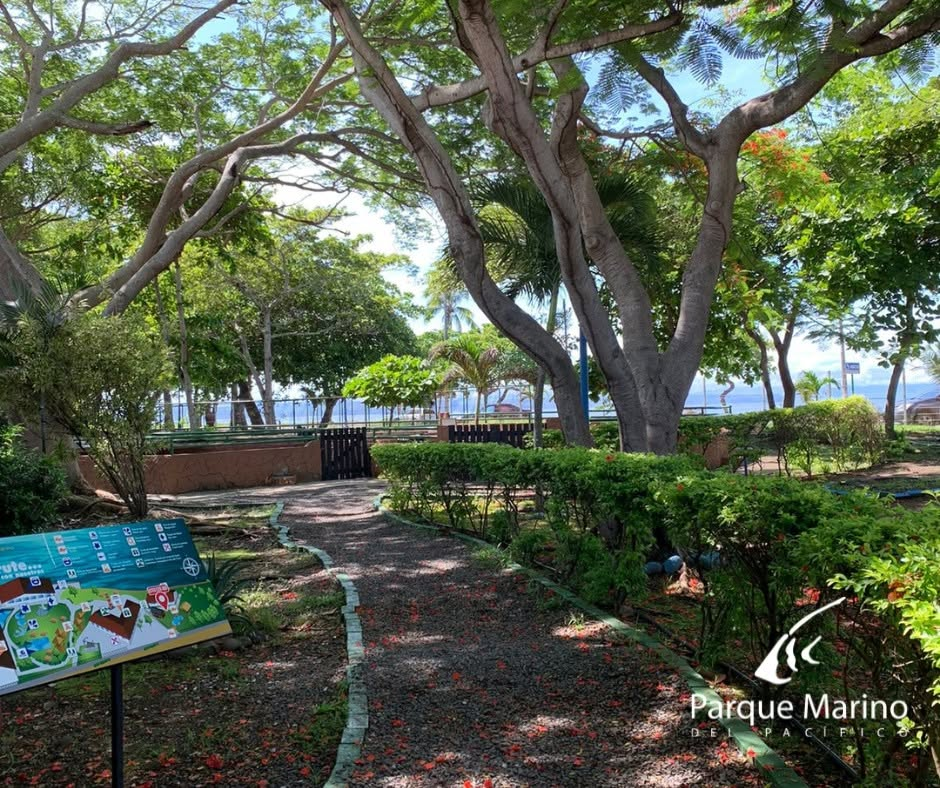 Fundación Bahía Azul
